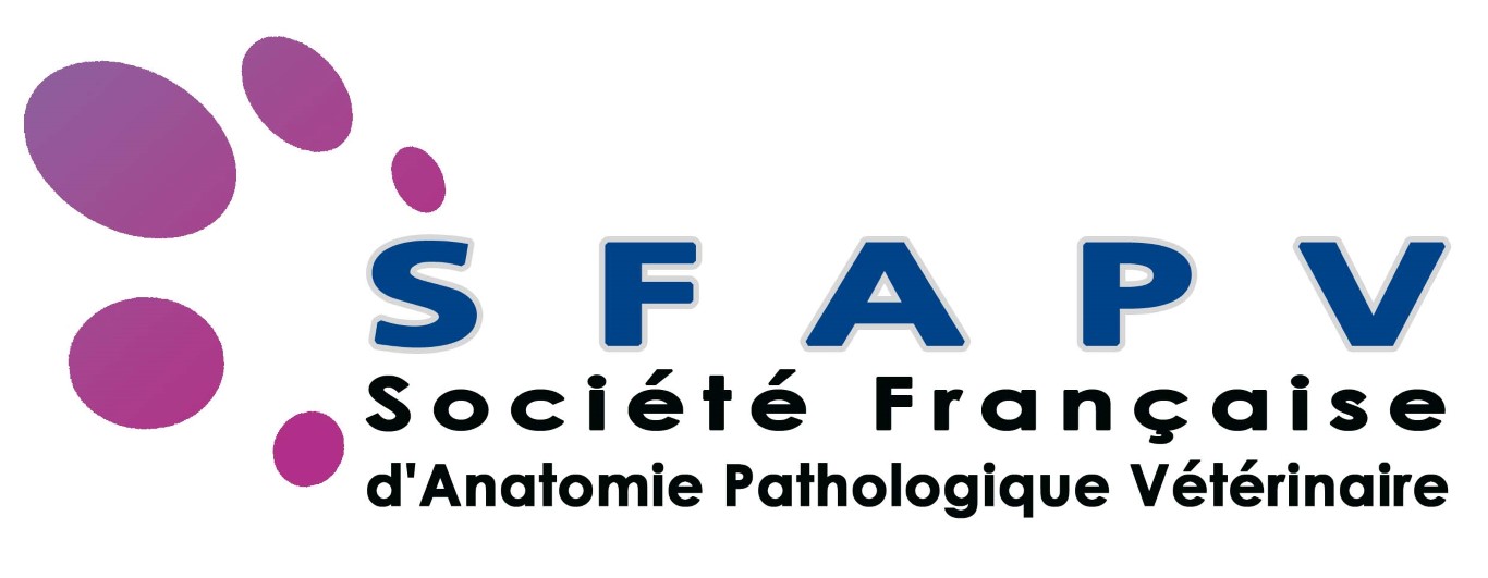 logo-sfapv