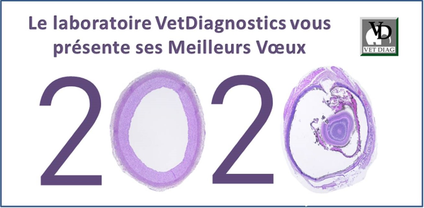 voeux-2020